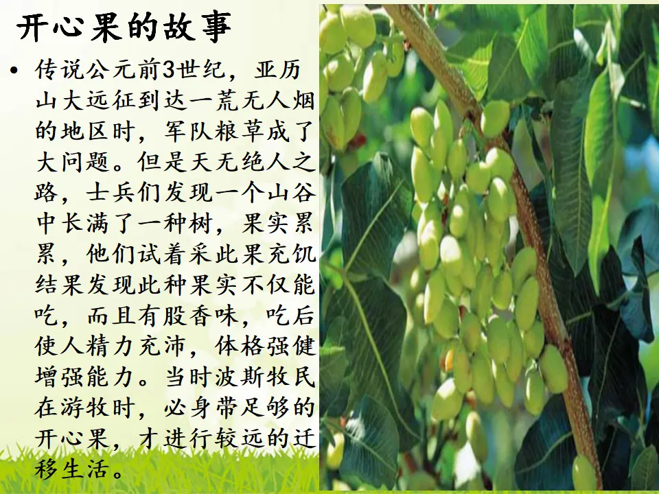 3 我要做“开心果” 汪丽君（课件7）_03.webp