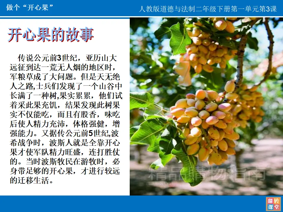 3 做个“开心果” 梁娟（课件7）_03.webp