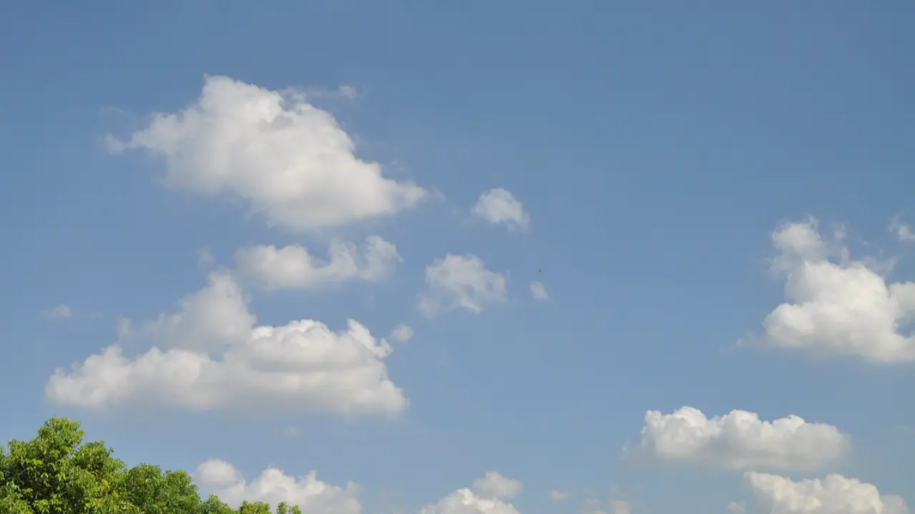 10 清新空气是个宝 陆青（课件7）_02.webp