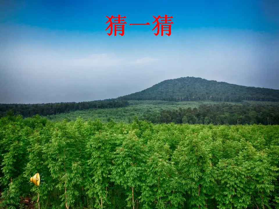 10 清新空气是个宝 张长春（课件7）_03.webp