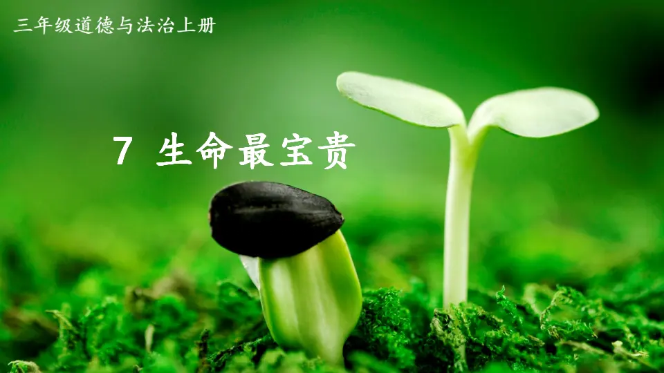 7 生命最宝贵（课件3）_01.webp