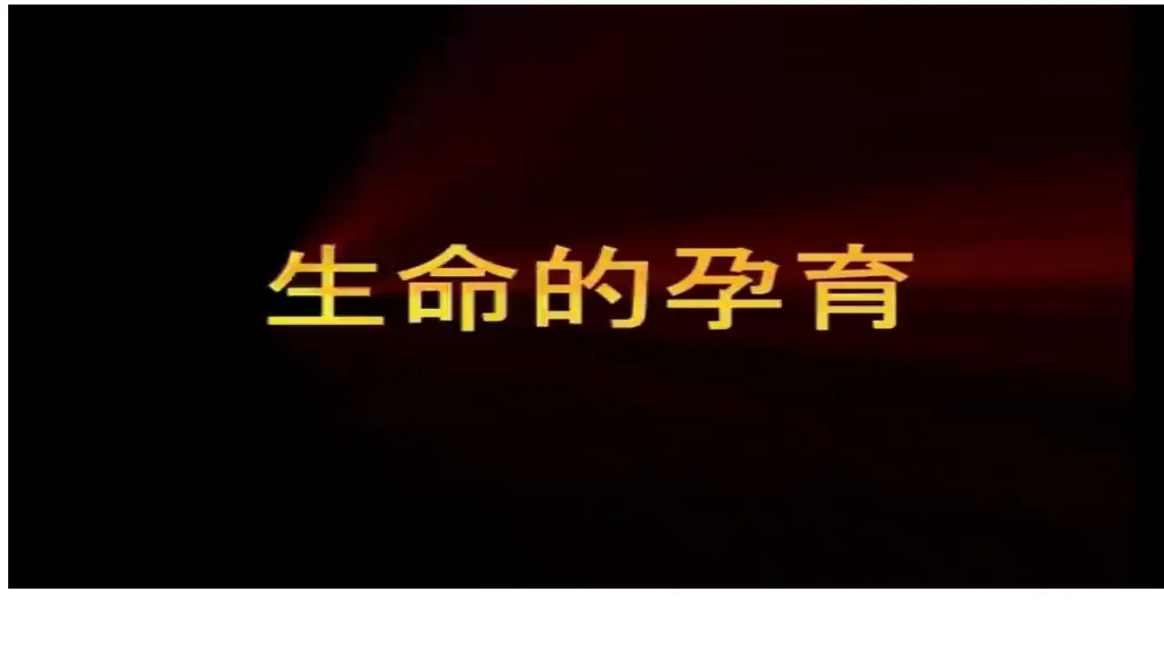 《7 生命最宝贵》湖南省黄卓齐老师（课件4）_02.webp