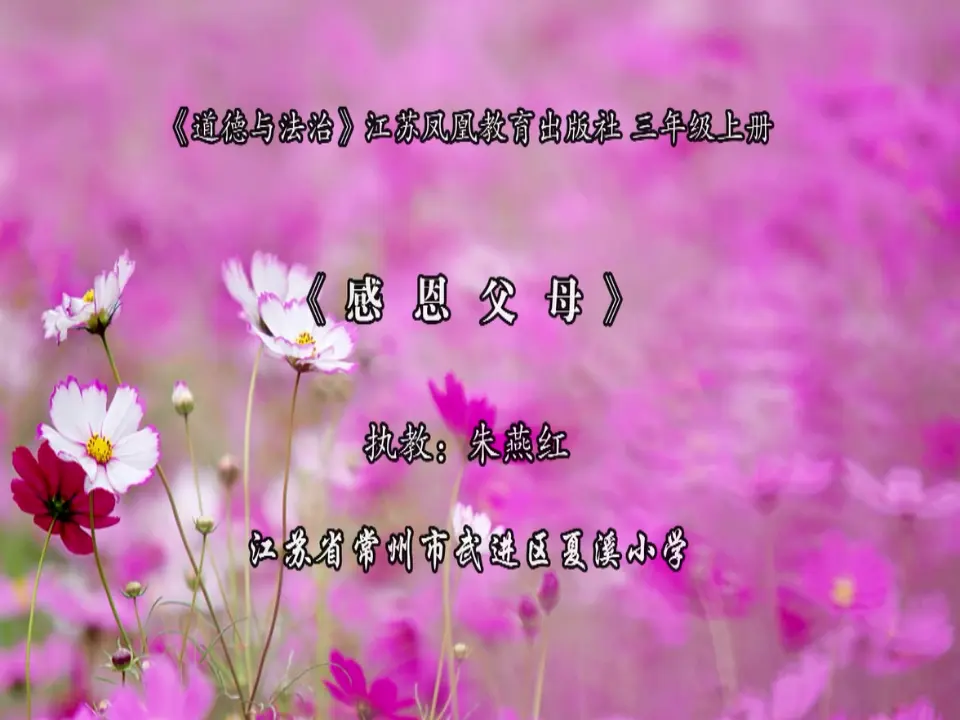 《10 父母多爱我》江苏省朱燕红老师（课件4）_01.webp