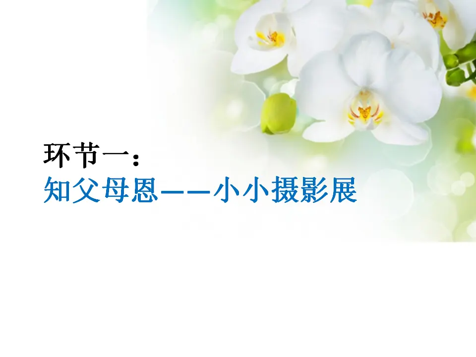 《10 父母多爱我》江苏省朱燕红老师（课件4）_02.webp