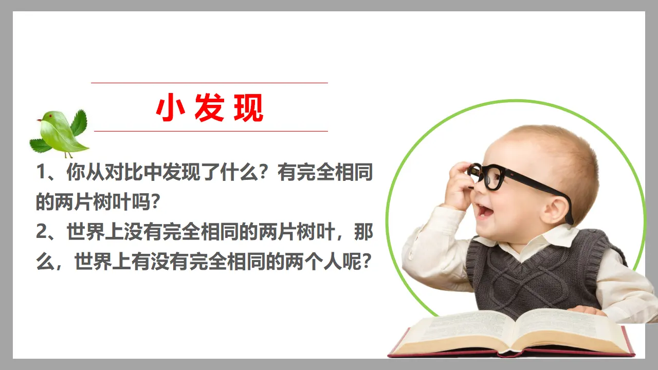 不一样的你我他 第一课时（课件1）_04.webp