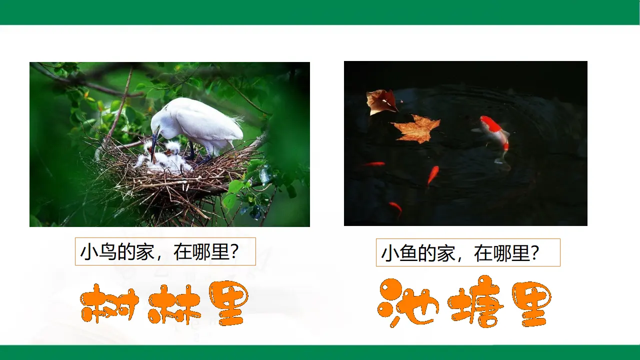 5我的家在这里  第一课时（课件1）_04.webp