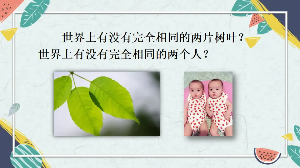 2 不一样的你我他（课件2）_02.webp