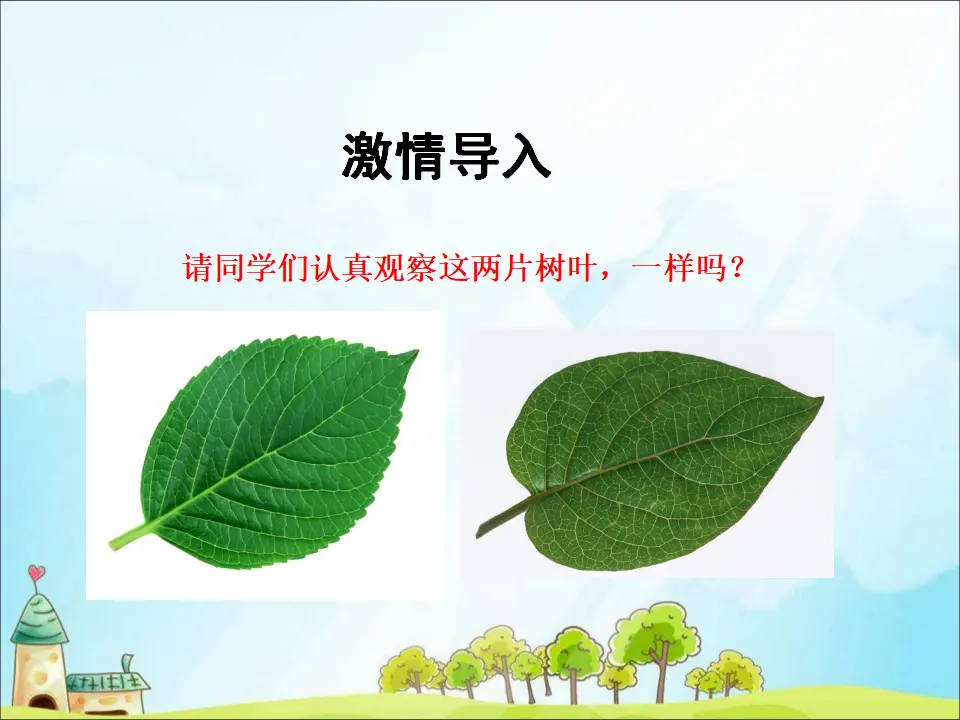 2 不一样的你我他（课件3）_02.webp