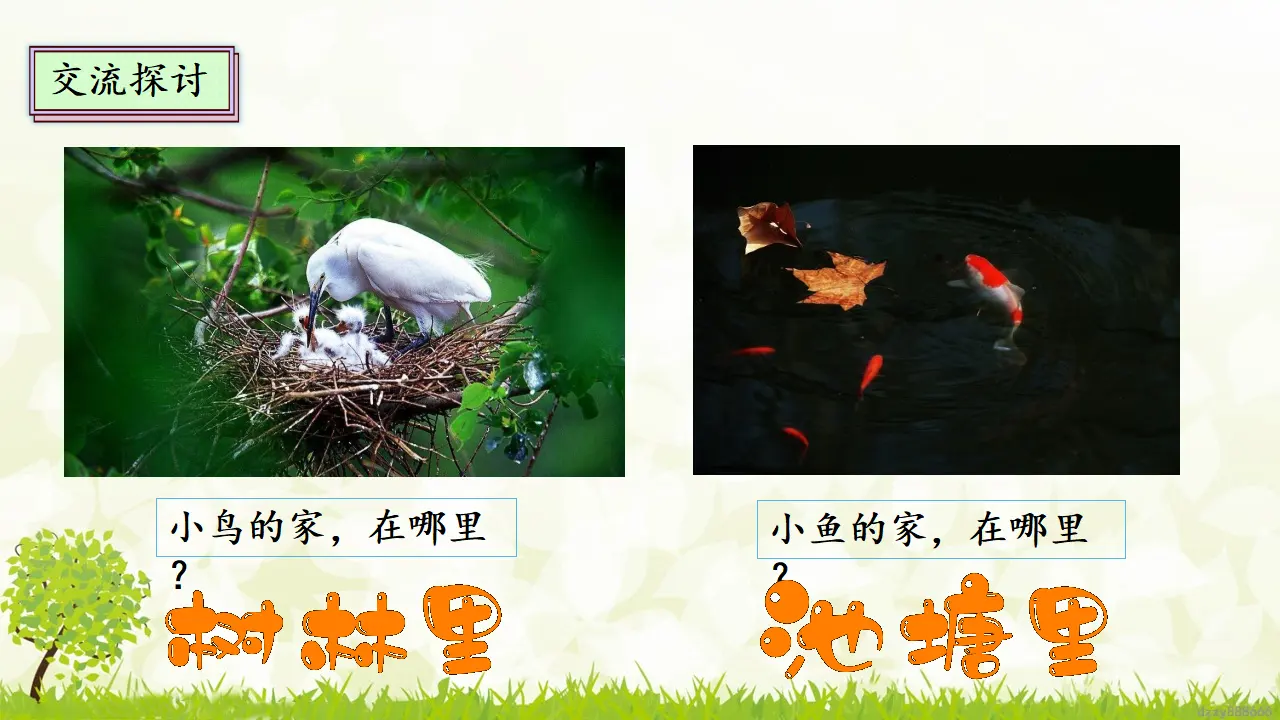 5.1 我的家在这里  第一课时（课件4）_04.webp