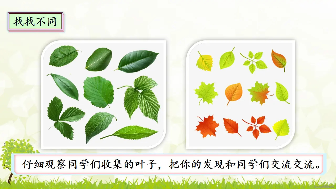 2.1 不一样的你我他 第一课时（课件4）_03.webp