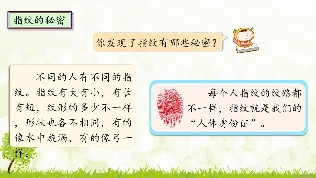 1.1 我是独特的 第一课时（课件4）_05.webp