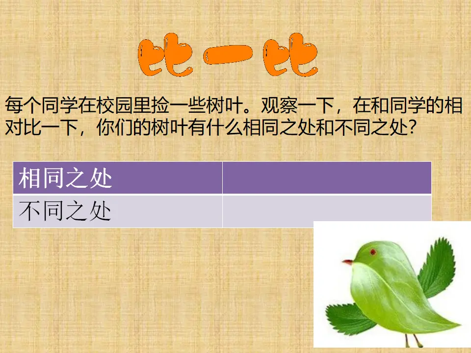 《2不一样的你我他》【市一等奖】优质课（课件5）_02.webp