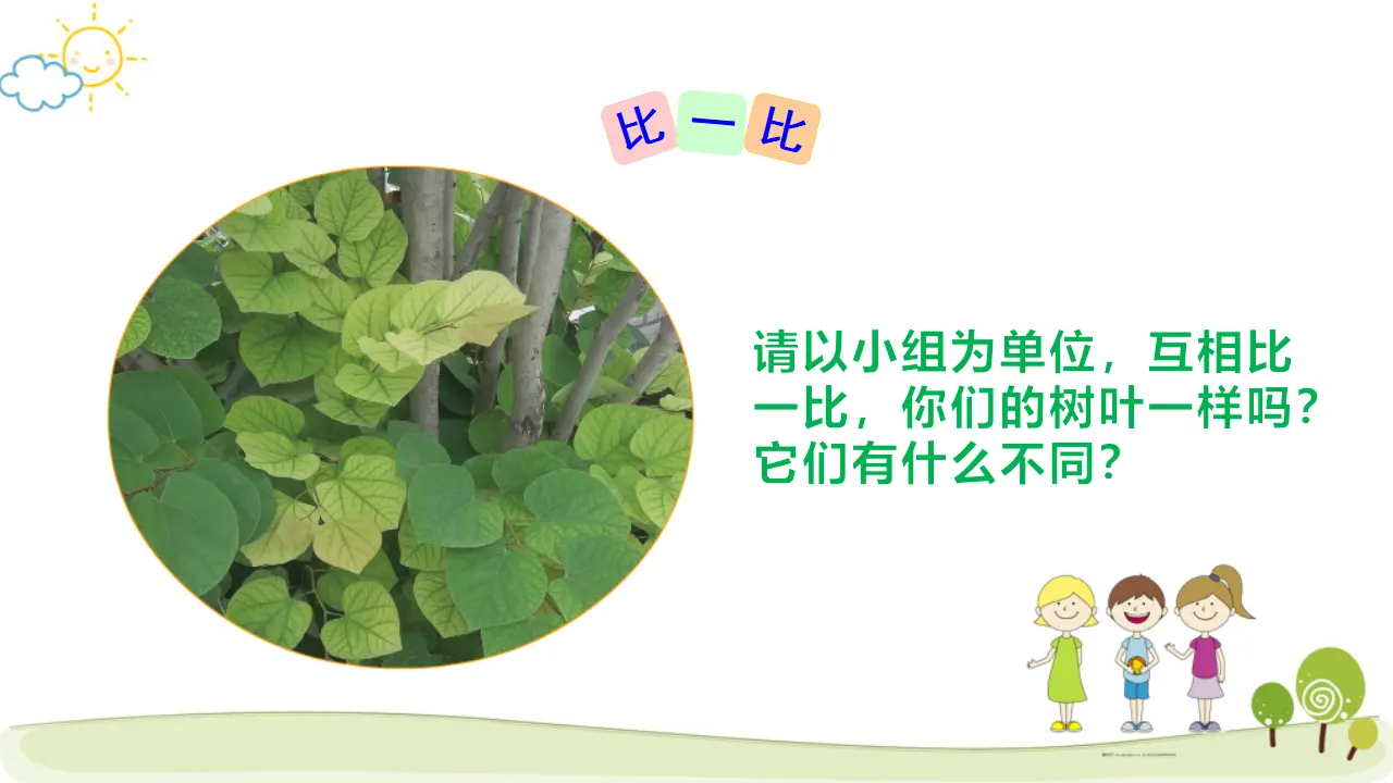 《2 不一样的你我他》【高老师】【省级】优质课（课件5）_04.webp