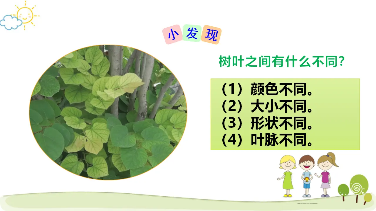 《2 不一样的你我他》【高老师】【省级】优质课（课件5）_05.webp
