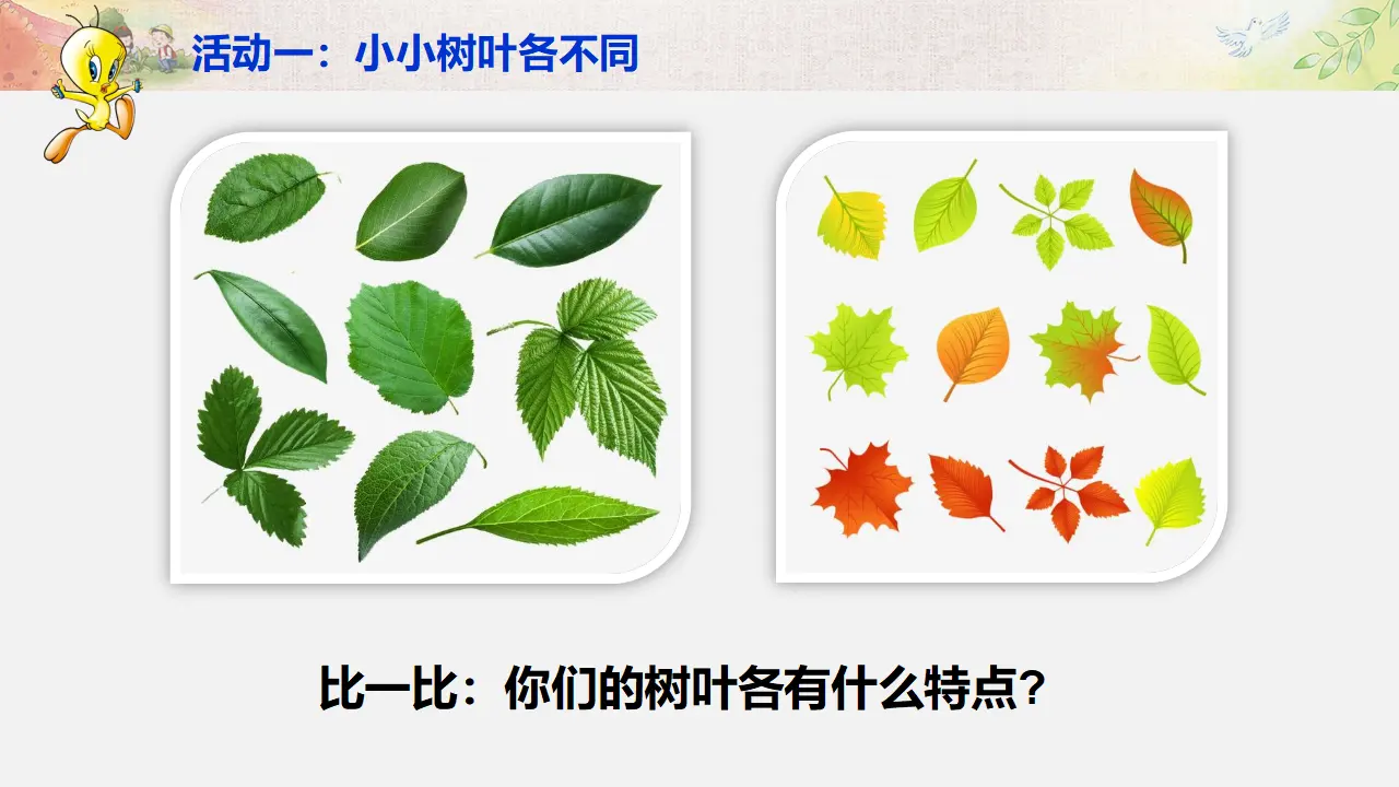 《2 不一样的你我他》【王老师】【省级】优质课（课件5）_02.webp