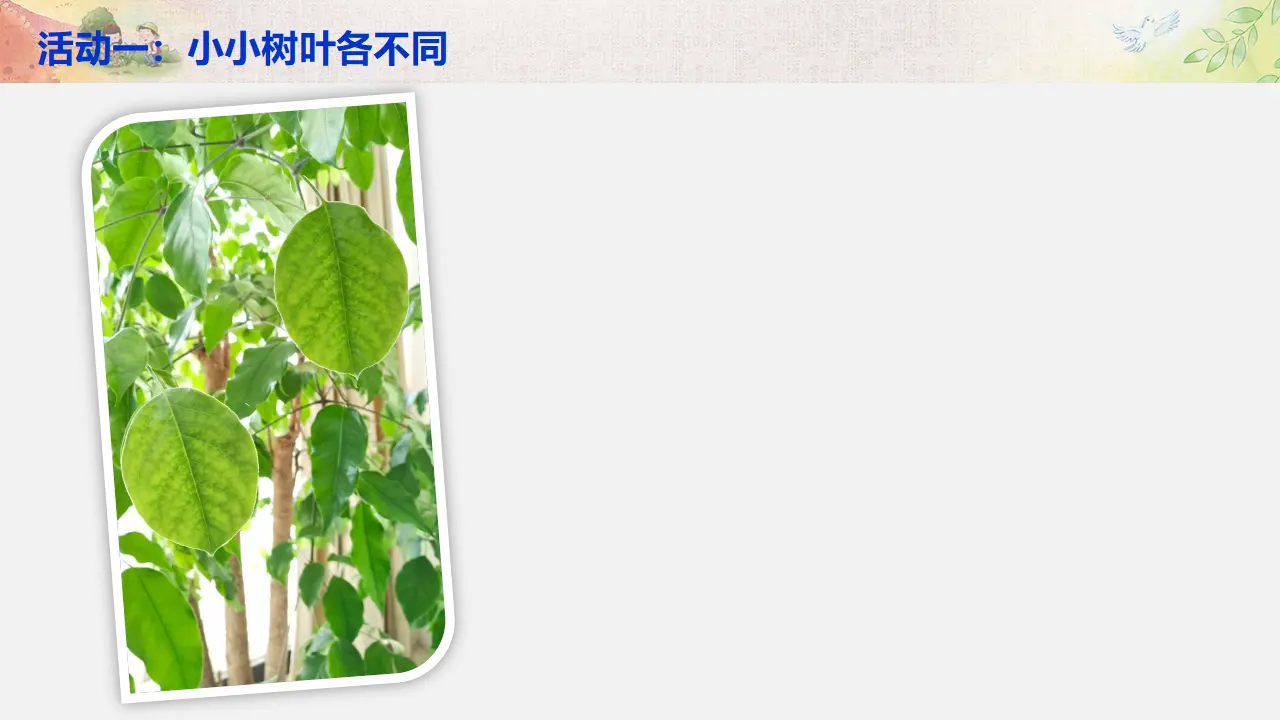 《2 不一样的你我他》【王老师】【省级】优质课（课件5）_03.webp