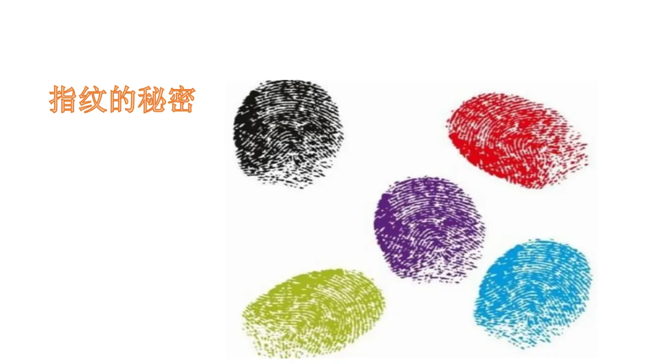 《1我是独特的》【市一等奖】优质课 2（课件5）_01.webp