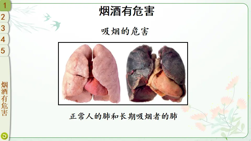 3 主动拒绝烟酒与毒品（课件2）_04.webp