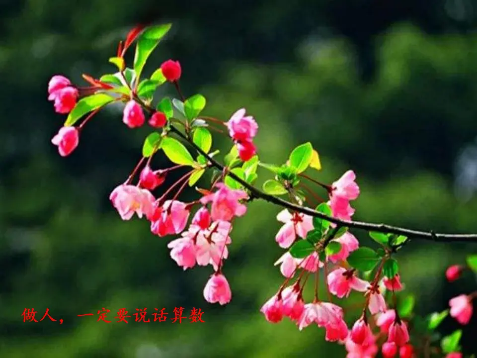 2《说话要算数》第1课时（课件1）_02.webp