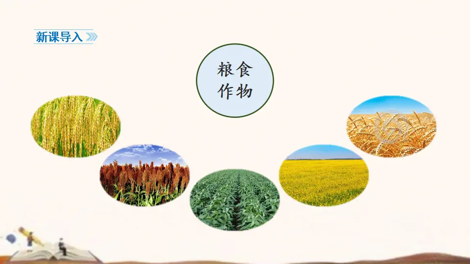 7、我们的衣食之源（课件4）_02.webp