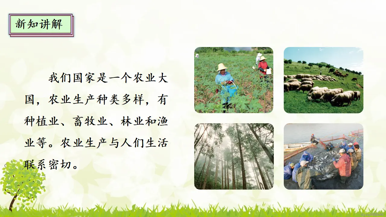 7.2 我们的衣食之源 第二课时（课件4）_04.webp