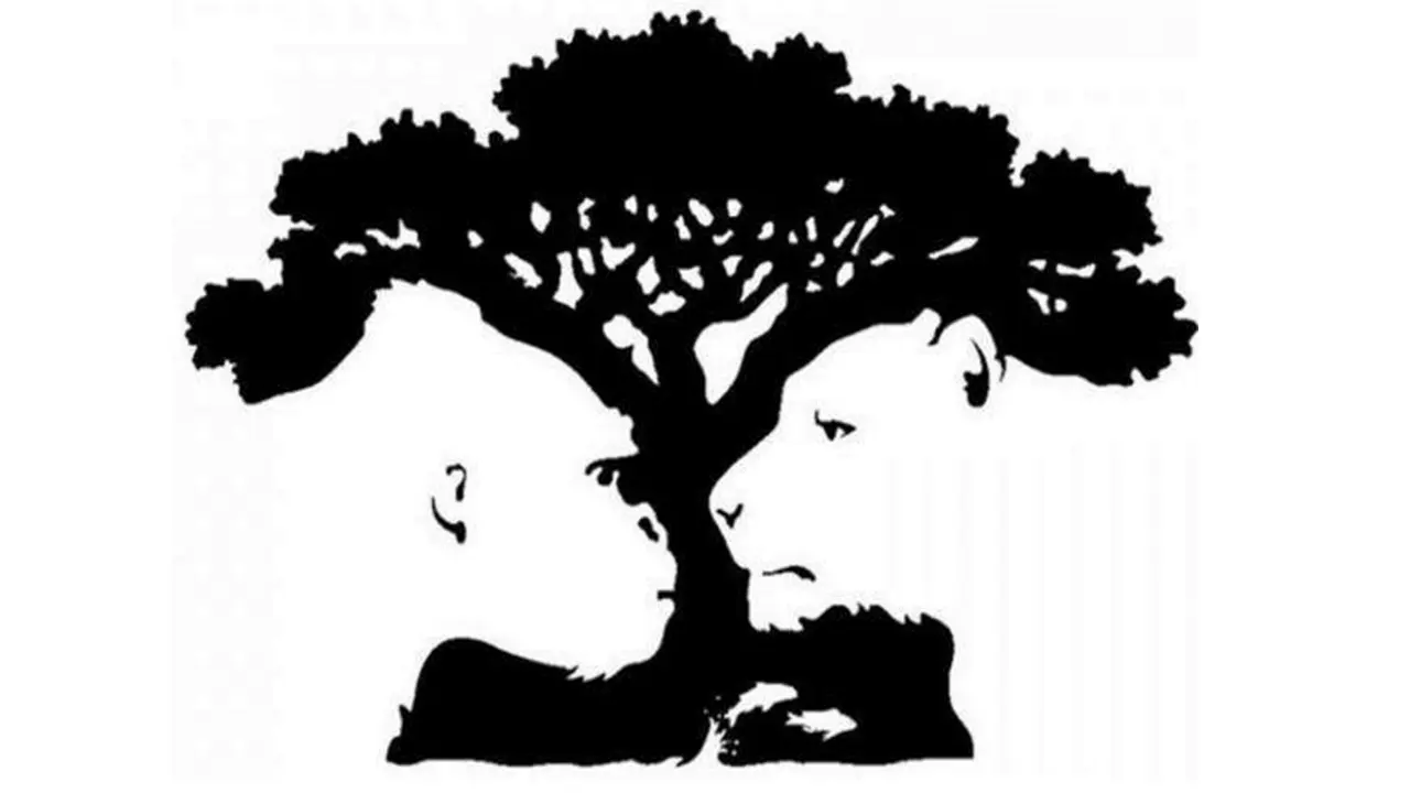 正确对待不同看法_金泽（课件5）_04.webp