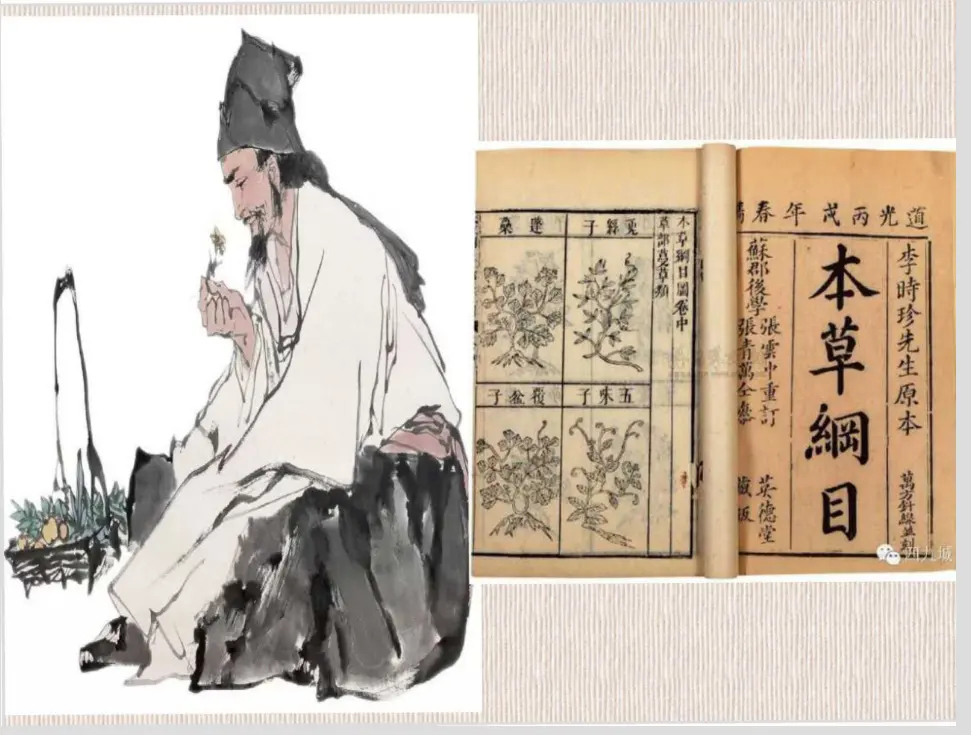 09《古代科技耀我中华》-魏红梅（课件5）_04.webp