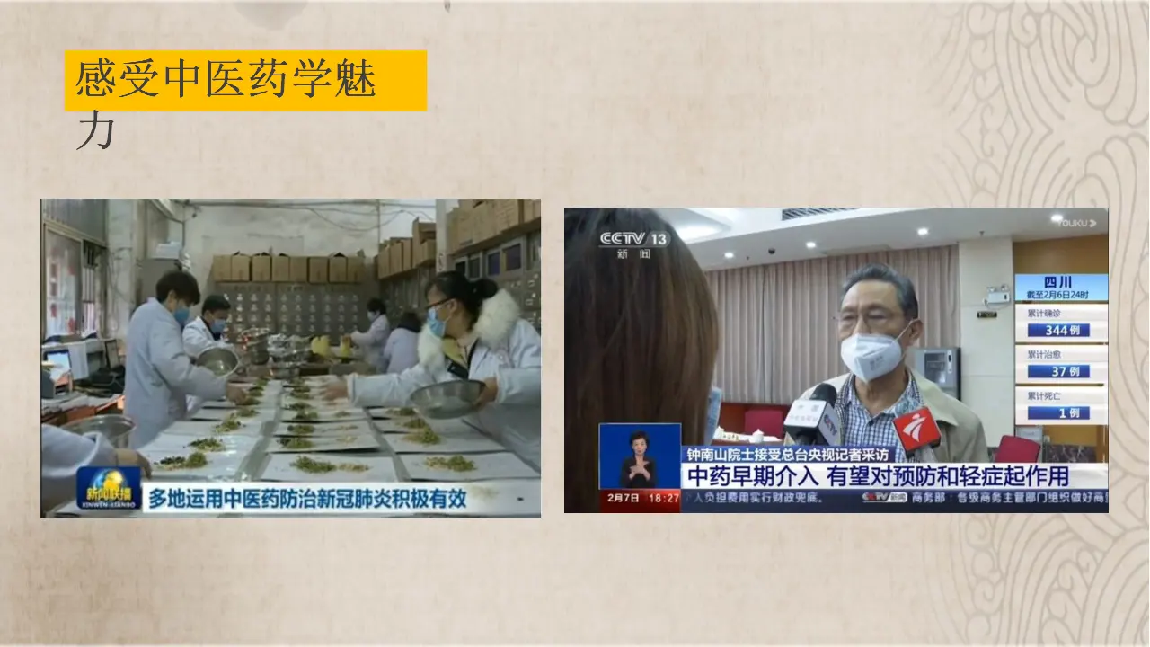09 《独具特色的古代科学》-彭刚（课件5）_03.webp