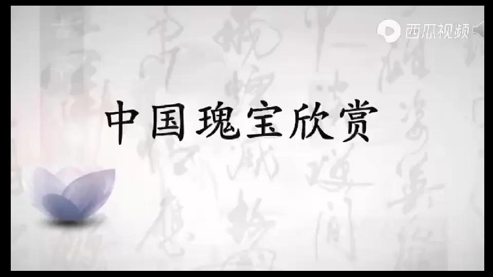 08《美丽文字 民族瑰宝》第1课时-仲亚洲（课件5）_01.webp