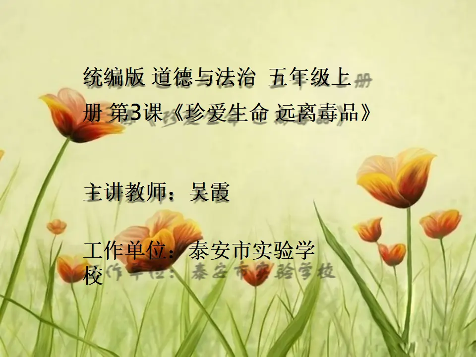 03《珍爱生命 远离毒品》--吴霞（课件5）_01.webp