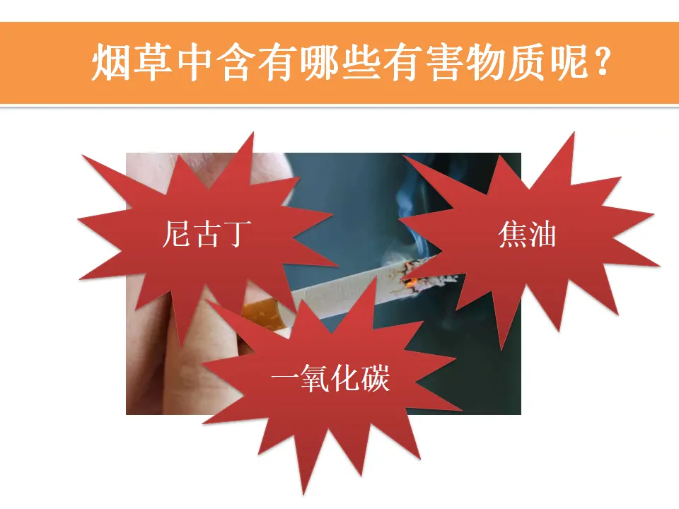03《烟酒有危害》-薛乐乐（课件5）_05.webp