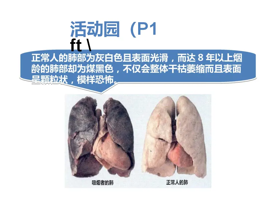 03《主动拒绝烟酒与毒品》--袁春生（课件5）_02.webp