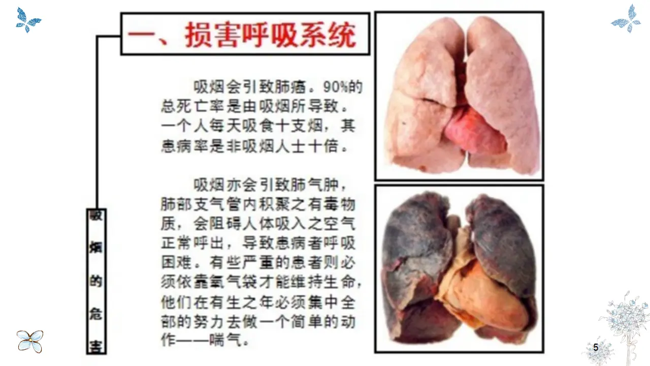 03《主动拒绝烟酒与毒品》--栾彩云.（课件5）_05.webp