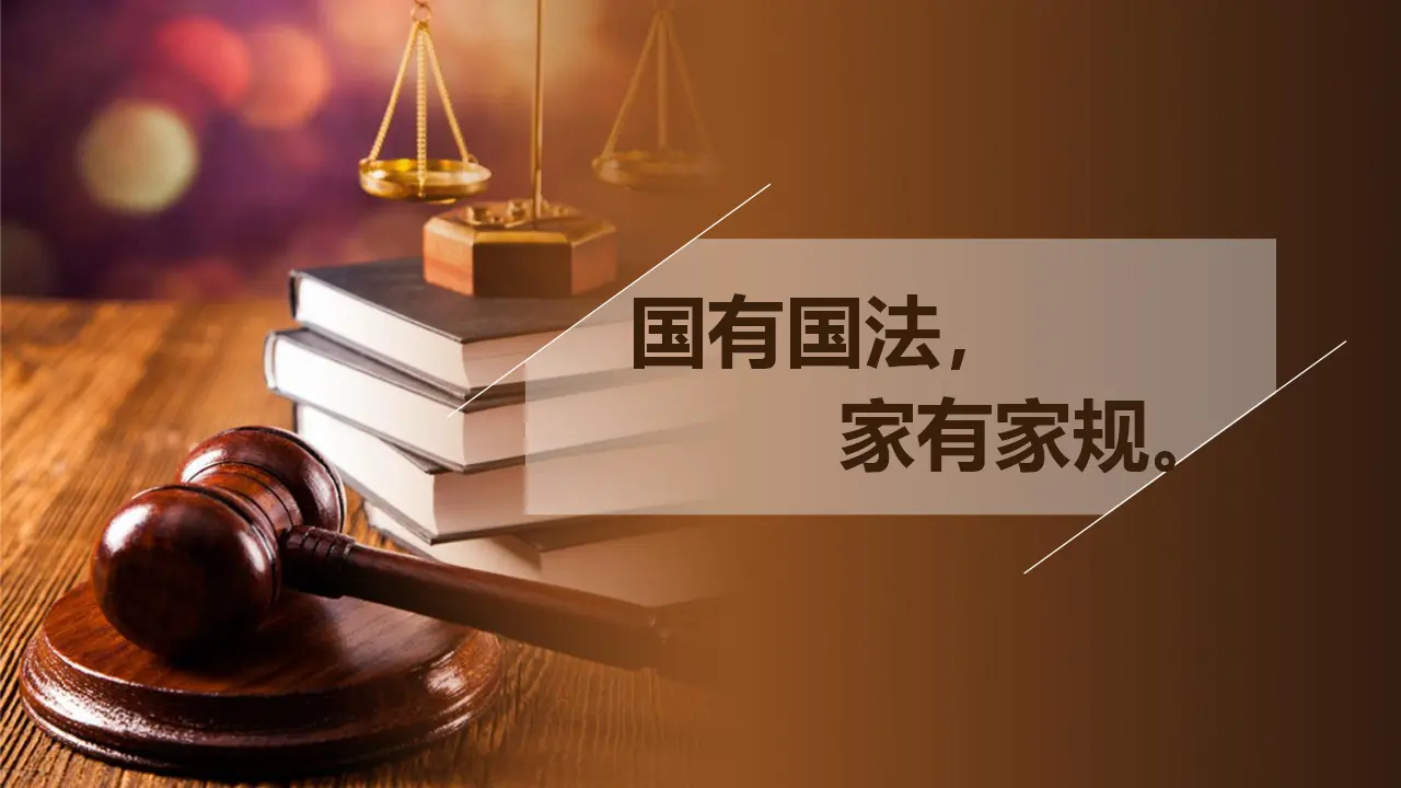 1感受生活中的法律  第一课时（课件1）_02.webp