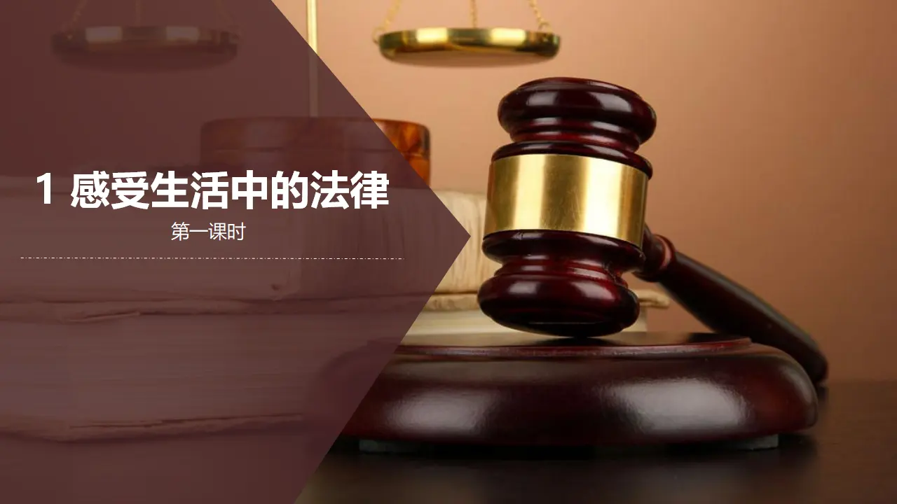1感受生活中的法律  第一课时（课件1）_04.webp