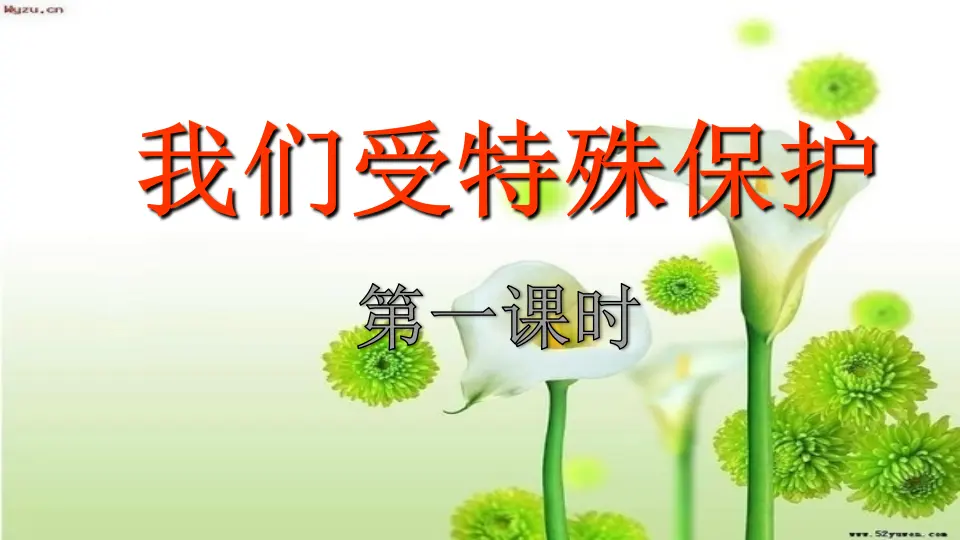 第8课 我们受到特殊保护 （课件2）_01.webp