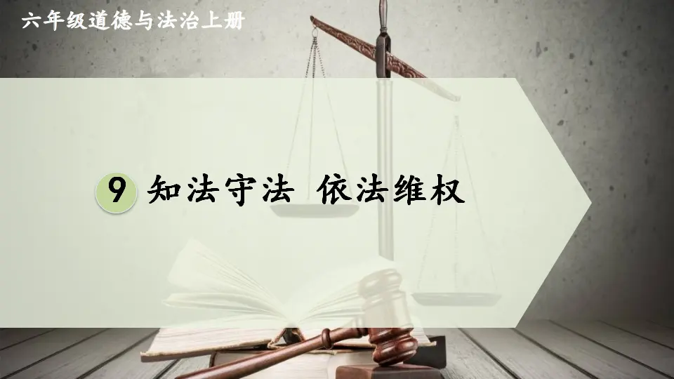 9 知法守法 依法维权（课件5）_02.webp