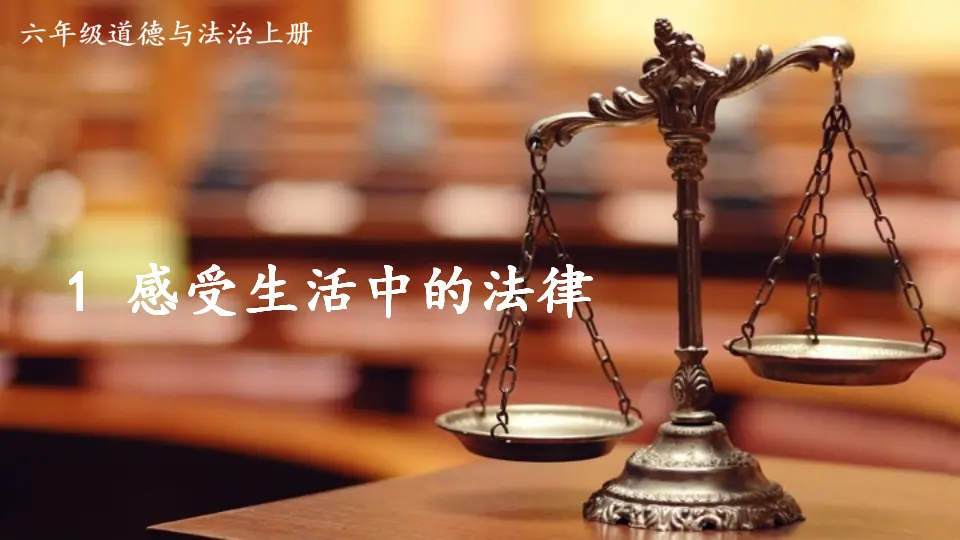 1 感受生活中的法律（课件5）_01.webp