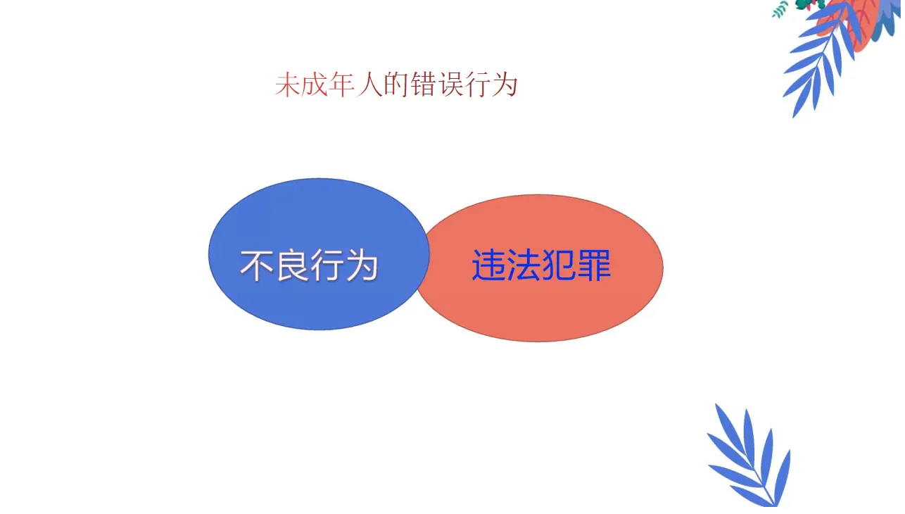 专门法律来保护（课件6）_04.webp