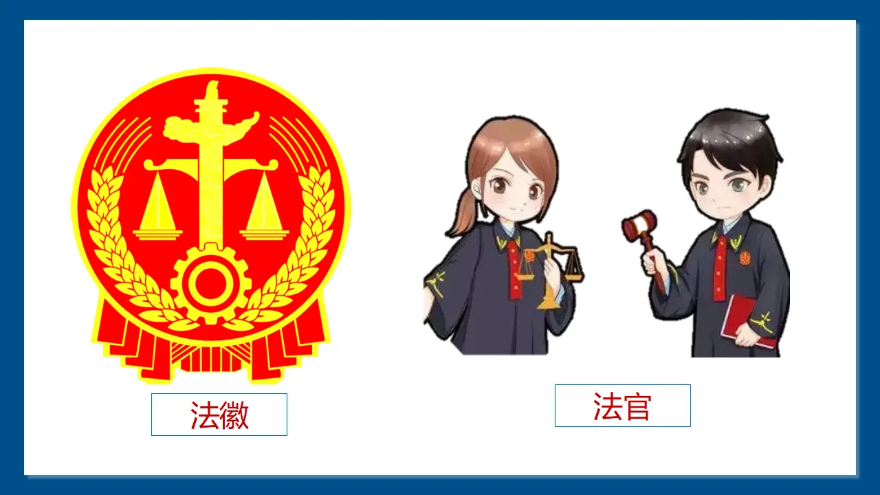 专门法律来保护_耿晓倩（课件6）_04.webp