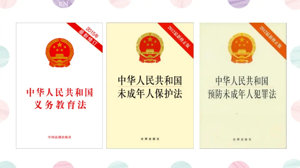 专门法律来保护_吴希（课件6）_04.webp