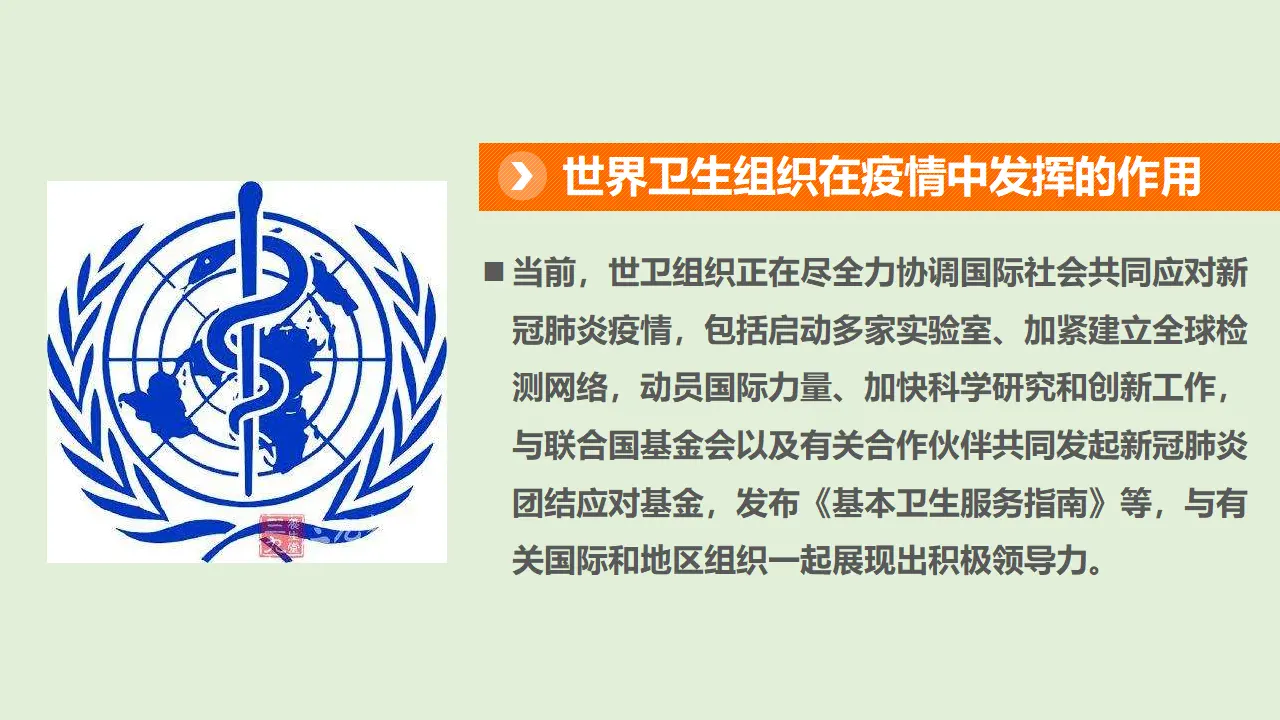 9日益重要的国际组织  第一课时（课件1）_04.webp