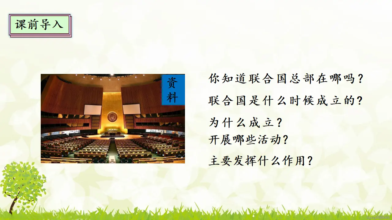 9.2 《日益重要的国际组织》 第二课时（课件4）_03.webp