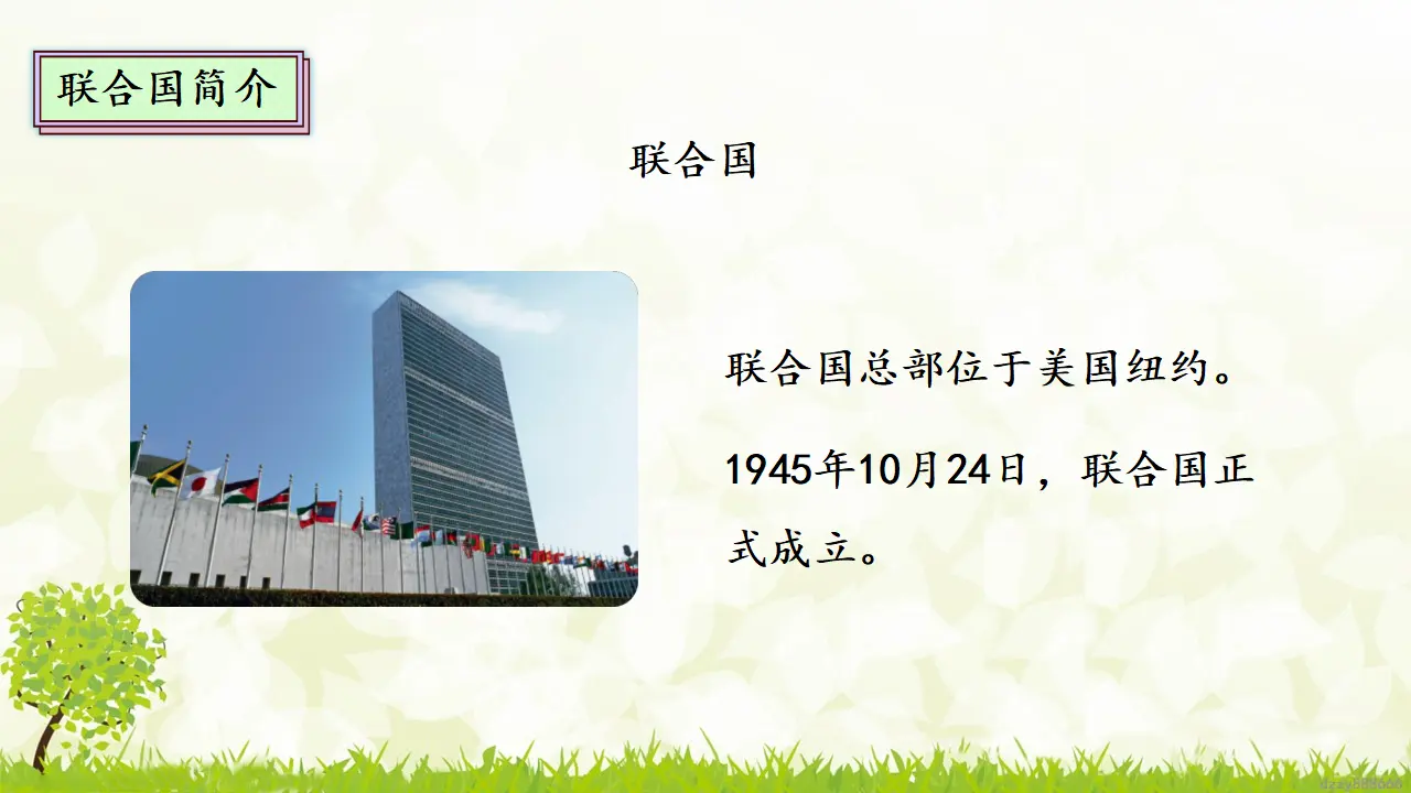 9.2 《日益重要的国际组织》 第二课时（课件4）_05.webp