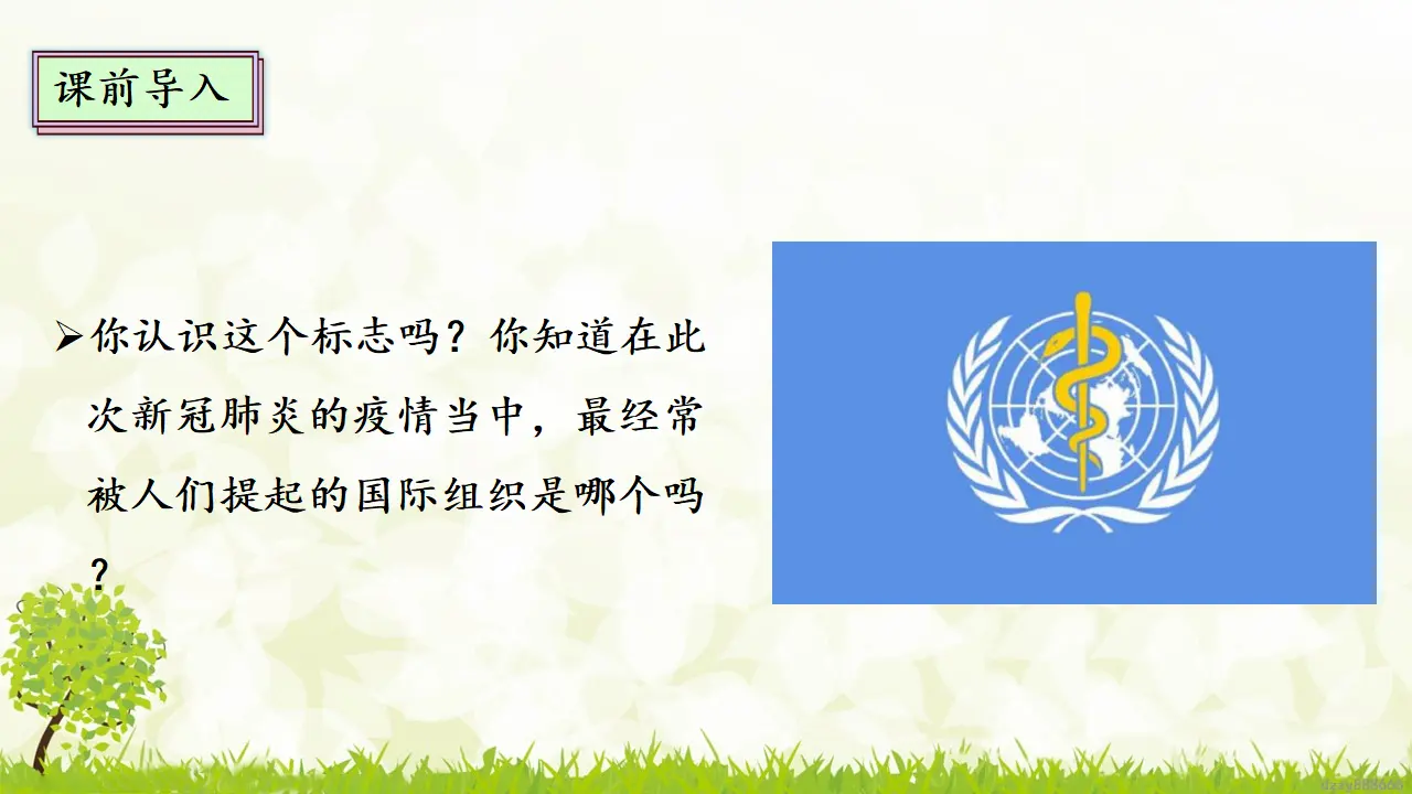 9.1 《日益重要的国际组织》 第一课时（课件4）_03.webp