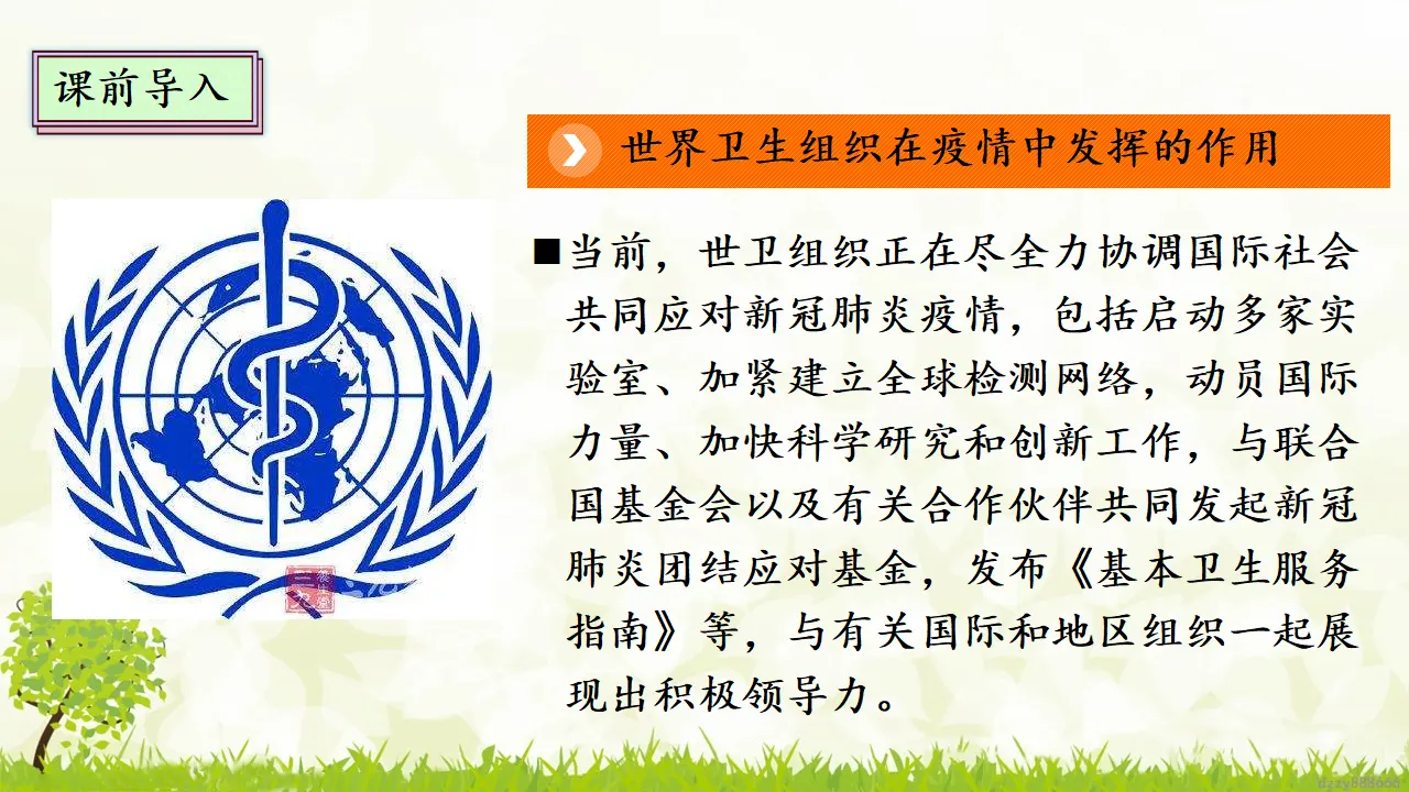 9.1 《日益重要的国际组织》 第一课时（课件4）_05.webp