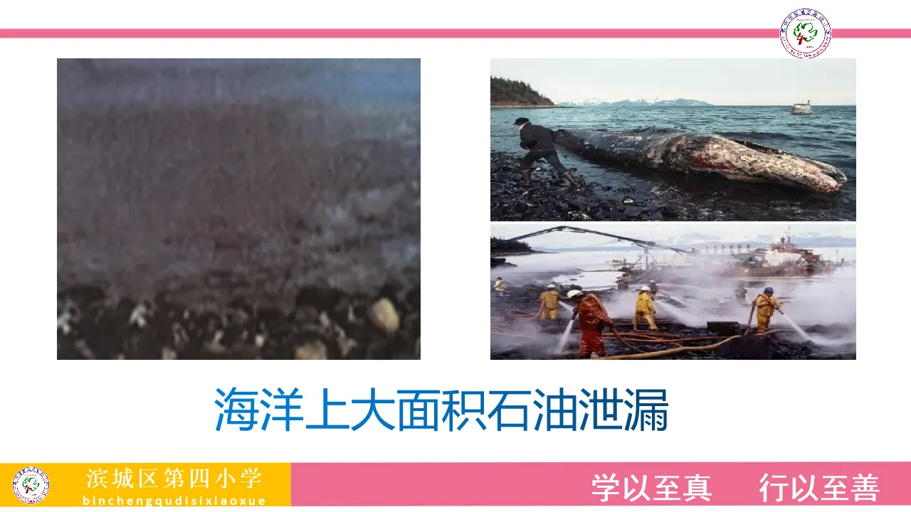 环境问题敲响了警钟_张沙沙（课件5）_05.webp