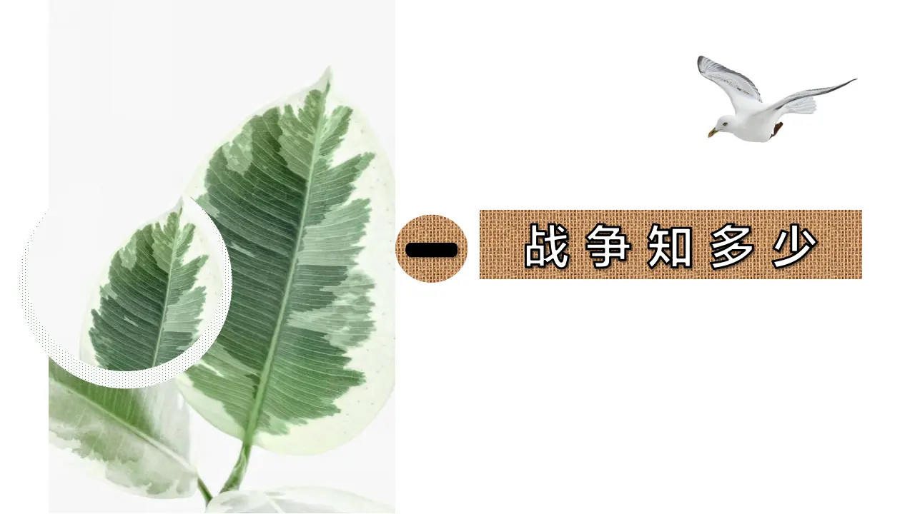 我们爱和平_柴爱香（课件5）_04.webp