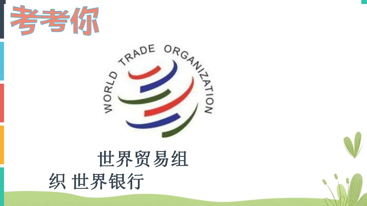 09《联合国和世界贸易组织》-吕洪艳（课件5）_04.webp