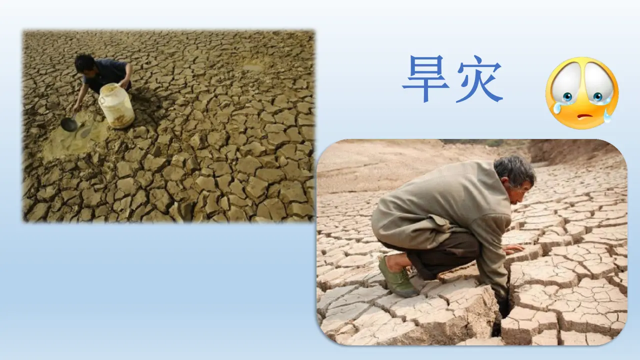 05《我国自然灾害知多少》-赵兰粉（课件5）_05.webp